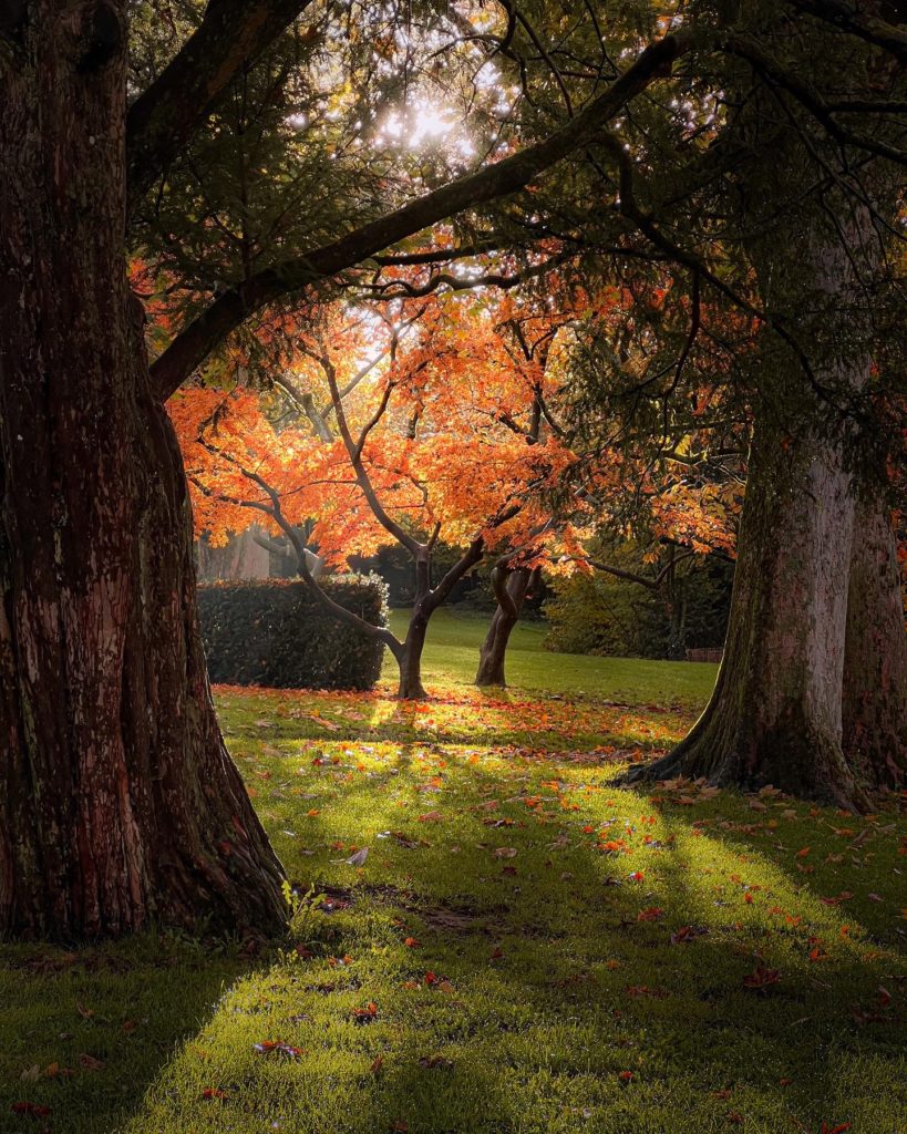 What to do in Lausanne in October?