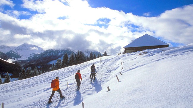 Our 5 favourite winter activities not far from Lausanne