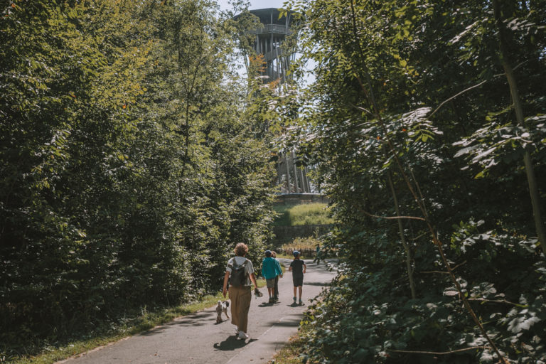 Foret et Tour de Sauvabelin