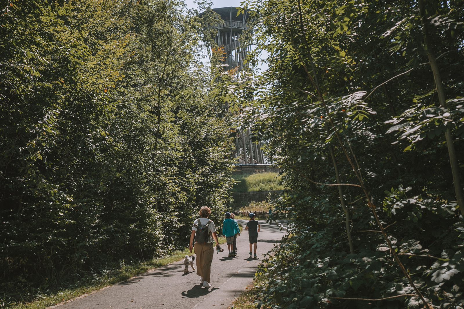 Foret et Tour de Sauvabelin