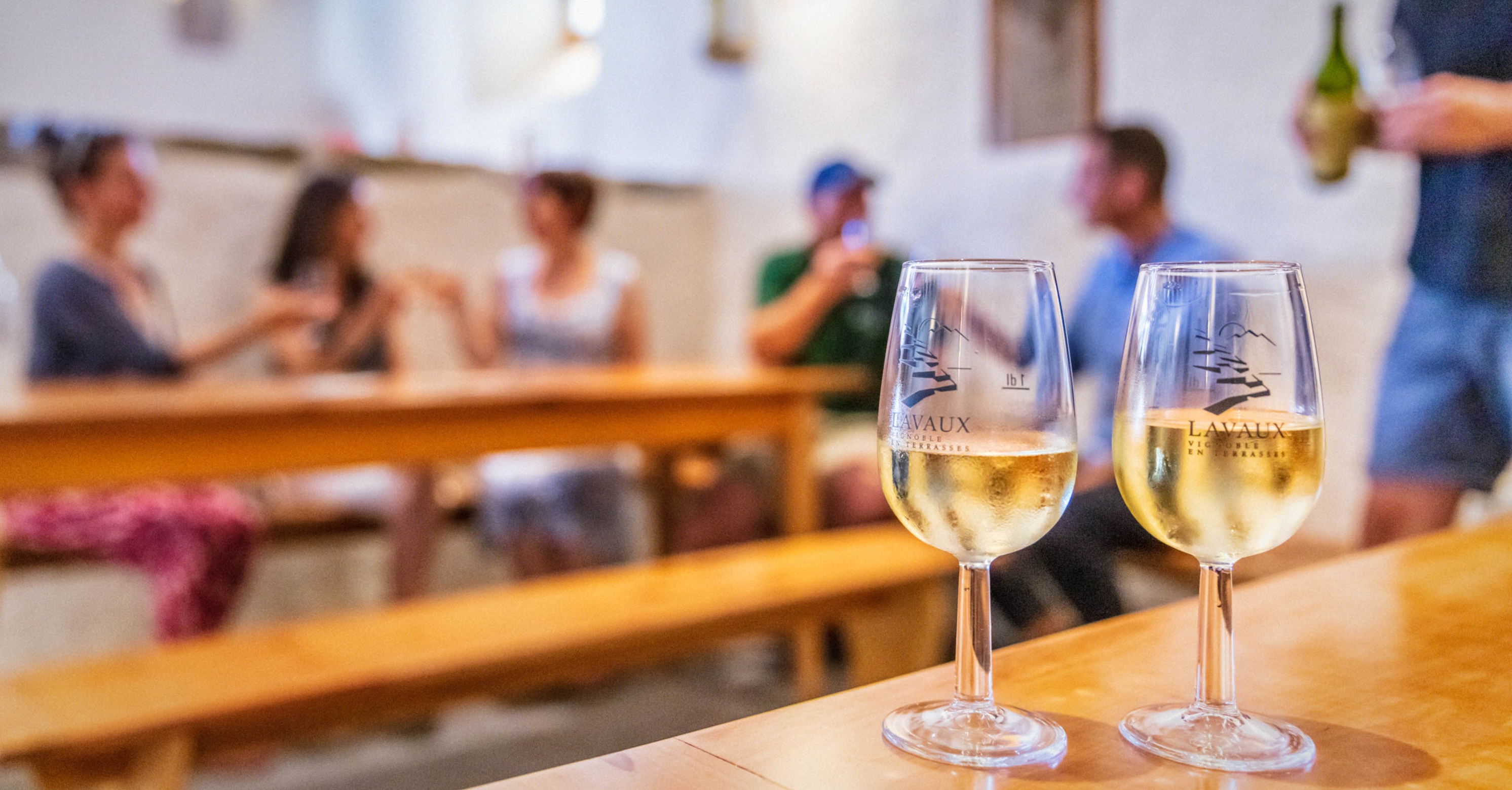 Public guided tour: Lavaux vineyards